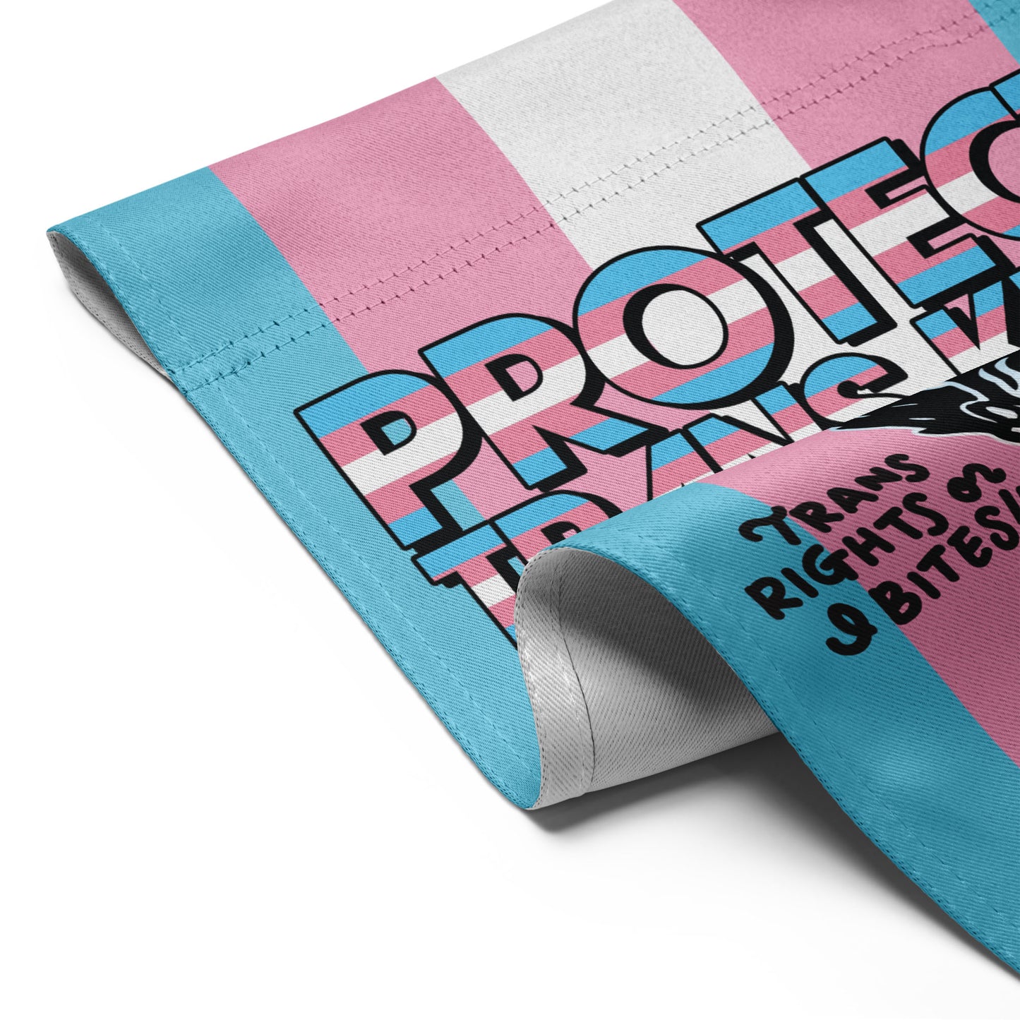 Close-Up of Design: Close-up of Protect Trans Kids Garden Flag with possum illustration and trans pride phrases