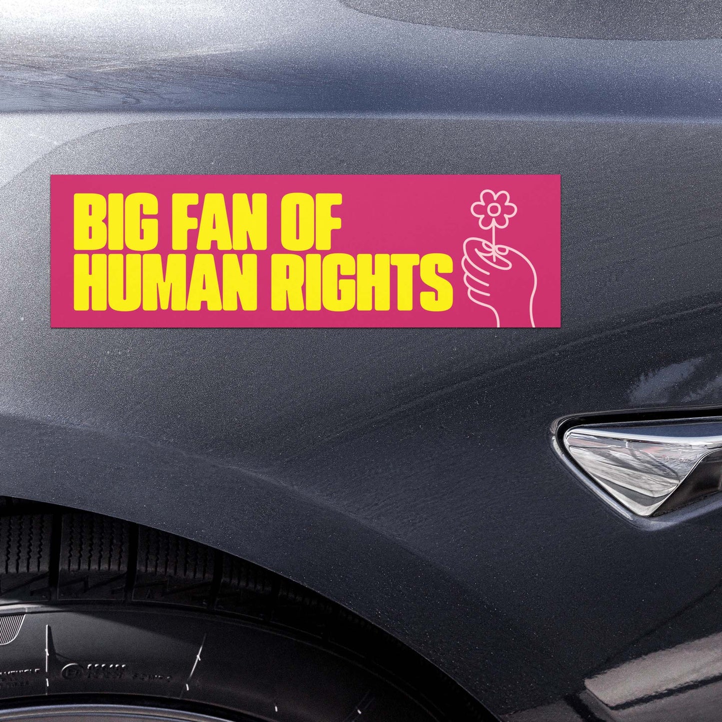 Pink feminist bumper magnet with “BIG FAN OF HUMAN RIGHTS” message and small hand-holding-flower graphic displayed on vehicle door panel.