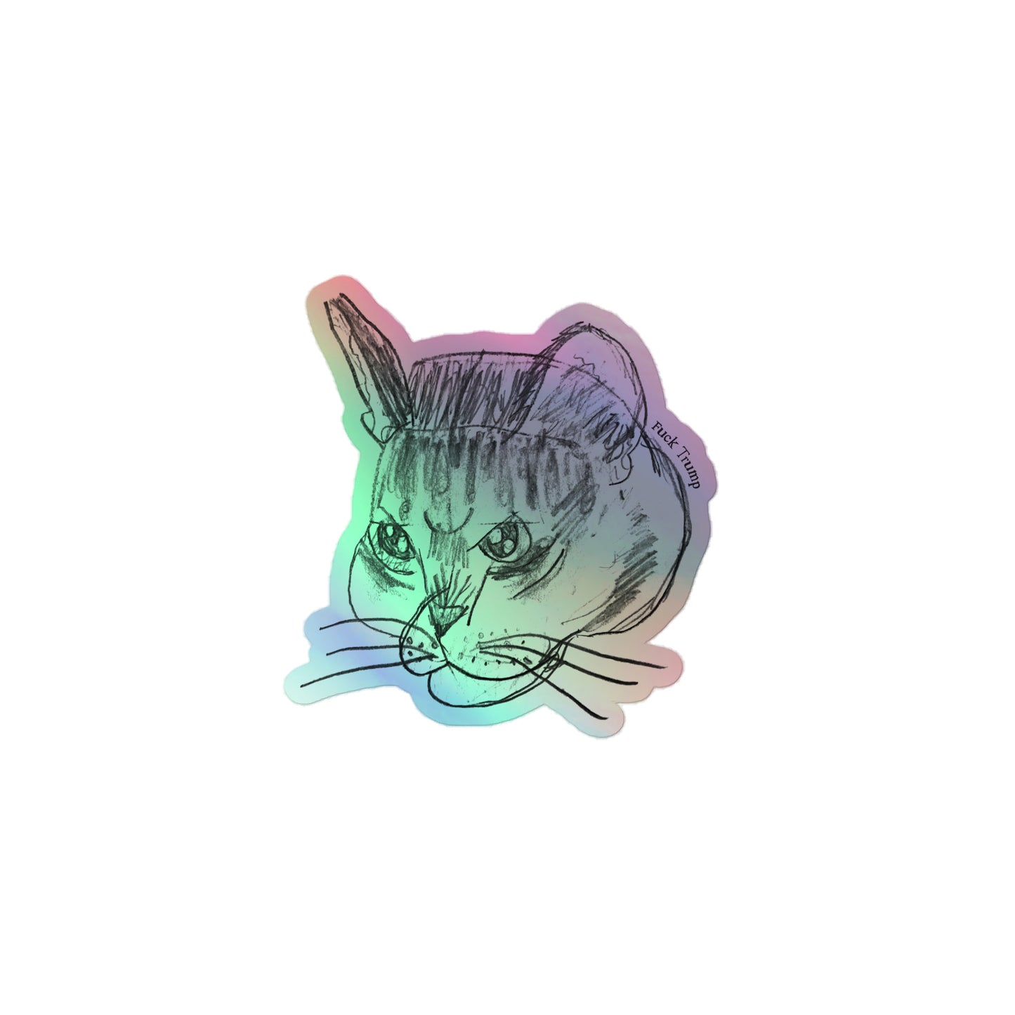 Holographic sticker featuring a humorous cat illustration with the "FDT" message.