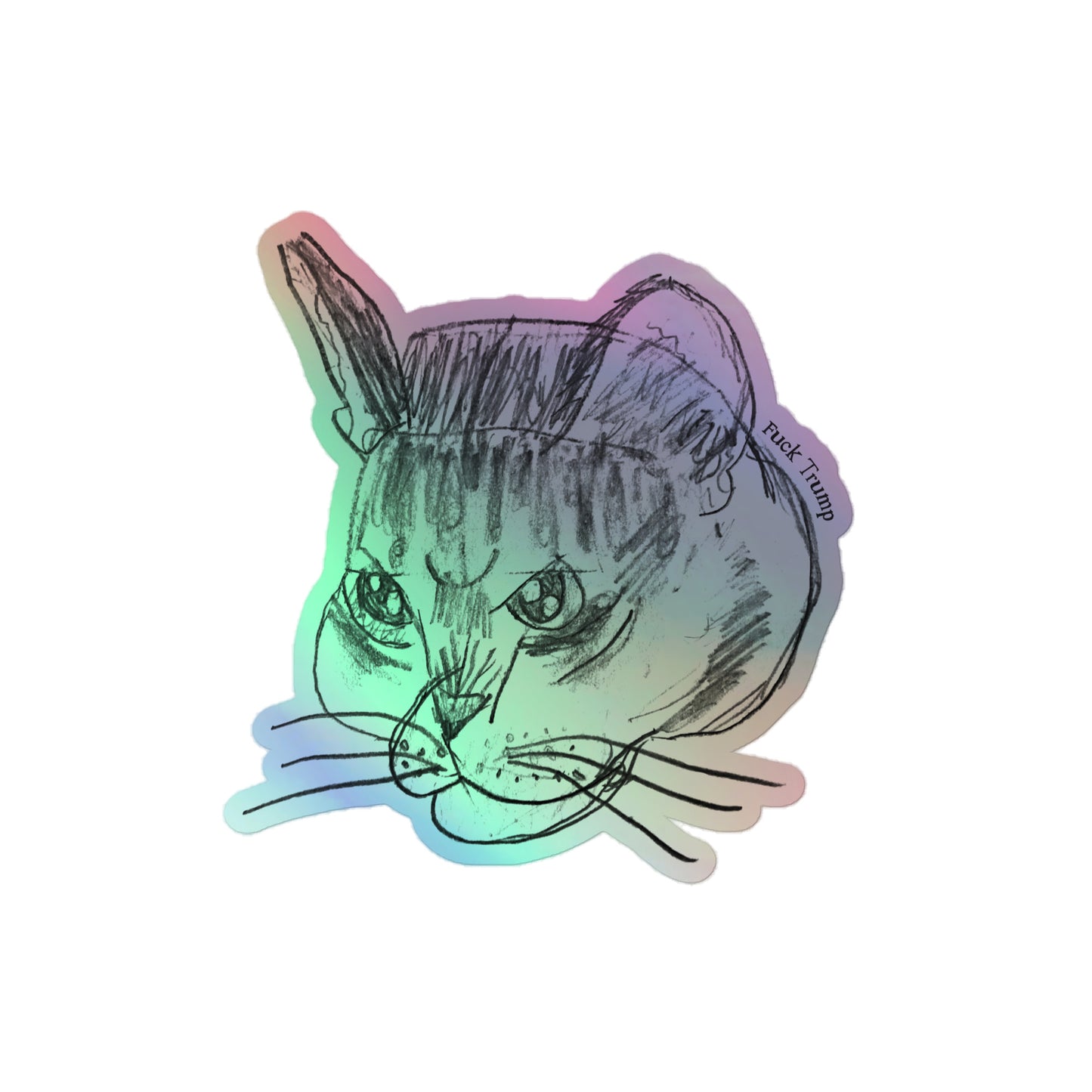 Holographic sticker featuring a humorous cat illustration with the "FDT" message.