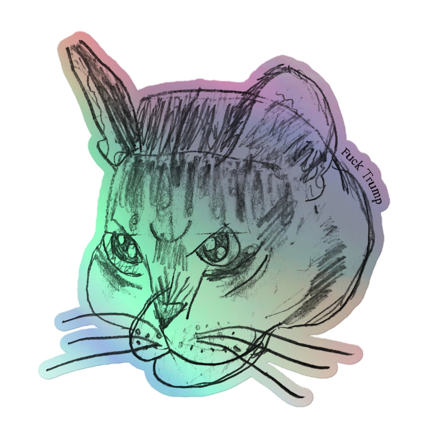 Holographic sticker featuring a humorous cat illustration with the "FDT" message.