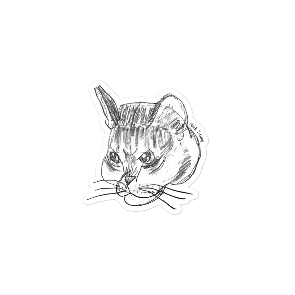 Funny cat illustration on a sticker with a subtle anti-Trump FDT theme.
