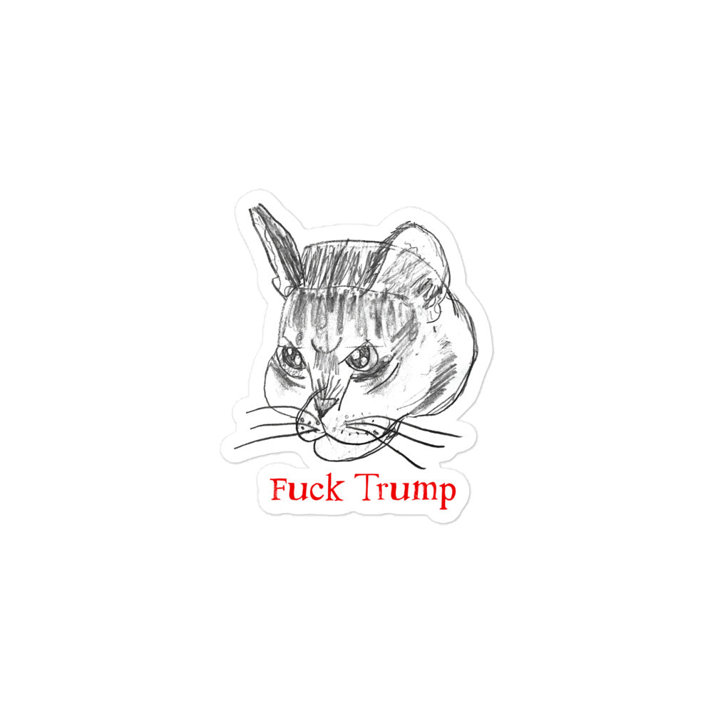 Vinyl sticker featuring a playful cat illustration with the "FDT" message.