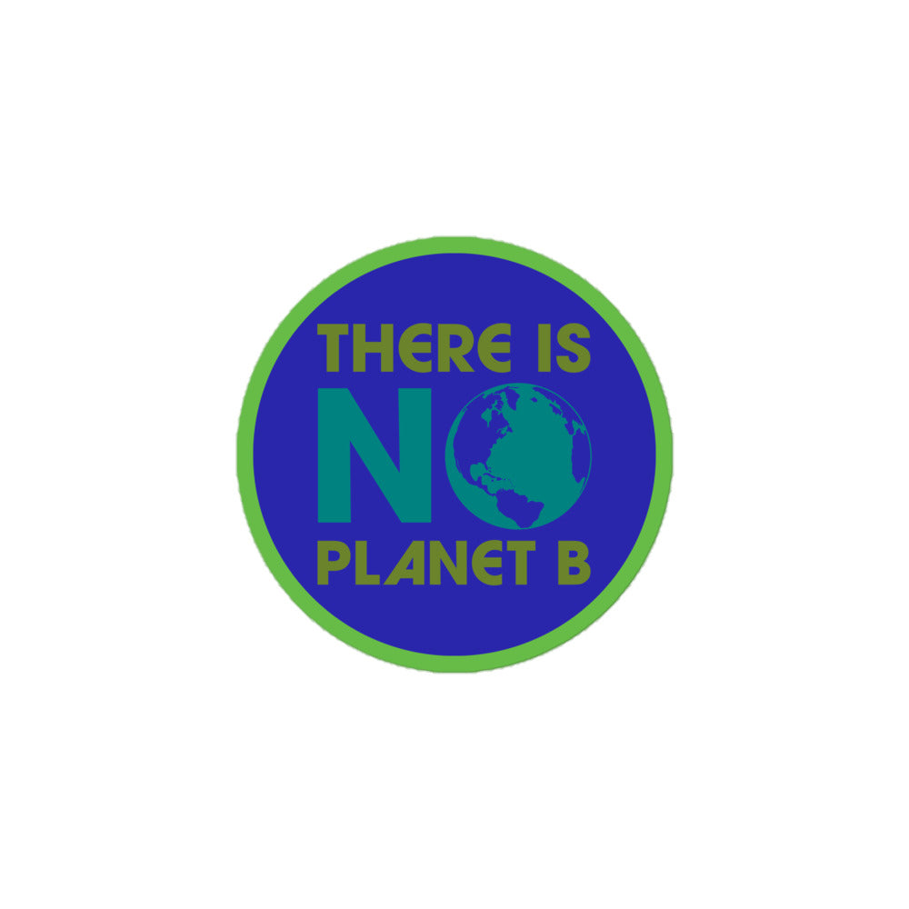 Front View Image: Vinyl sticker with “There Is No Planet B” message, centered front view