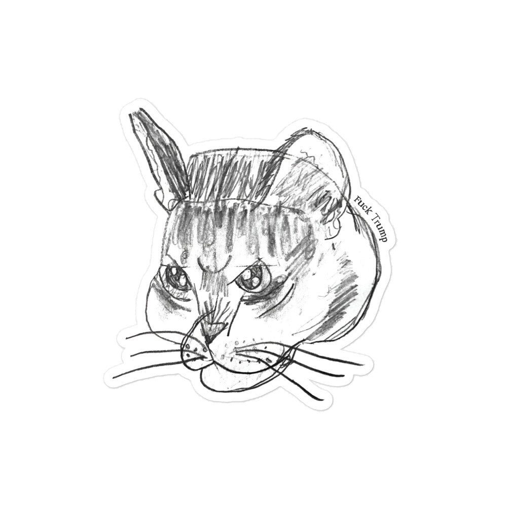 Funny cat illustration on a sticker with a subtle anti-Trump FDT theme.