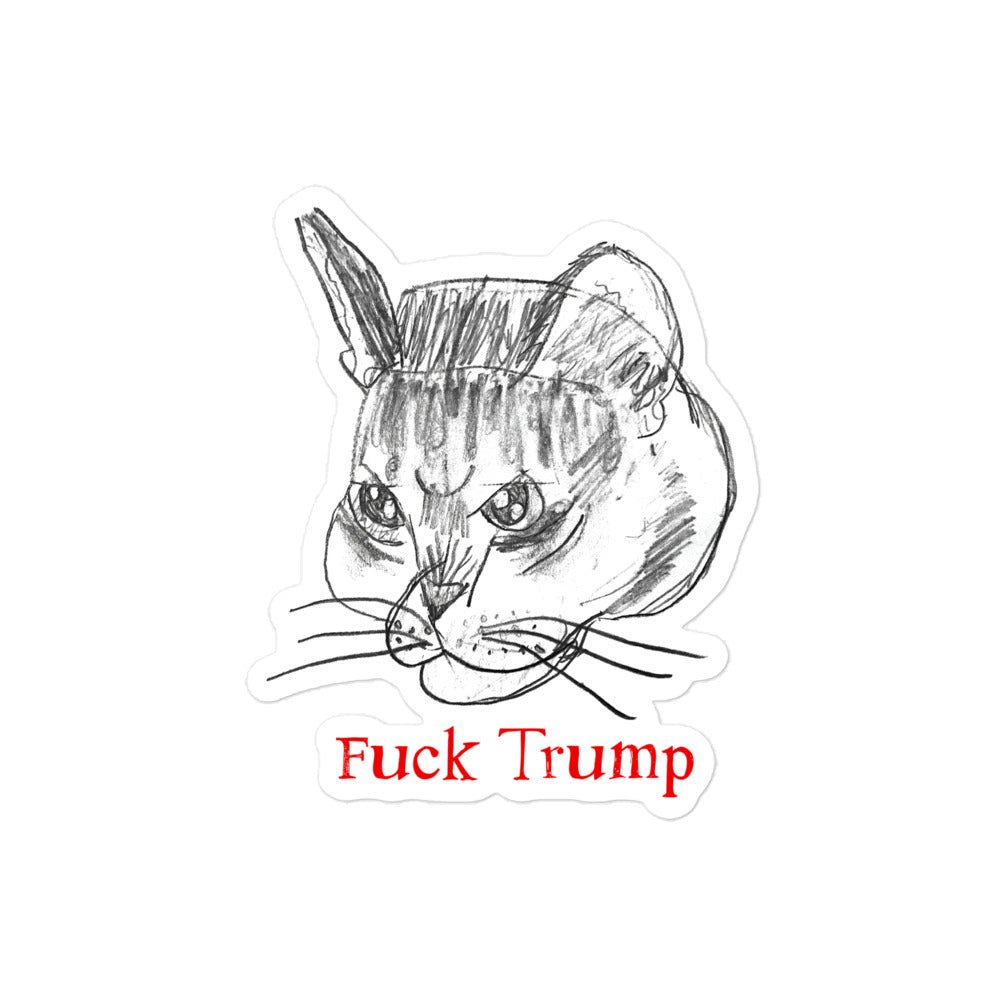 Vinyl sticker featuring a playful cat illustration with the "FDT" message.