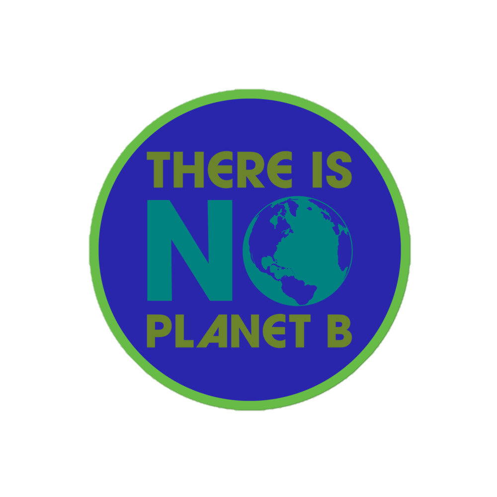 Front View Image: Vinyl sticker with “There Is No Planet B” message, centered front view