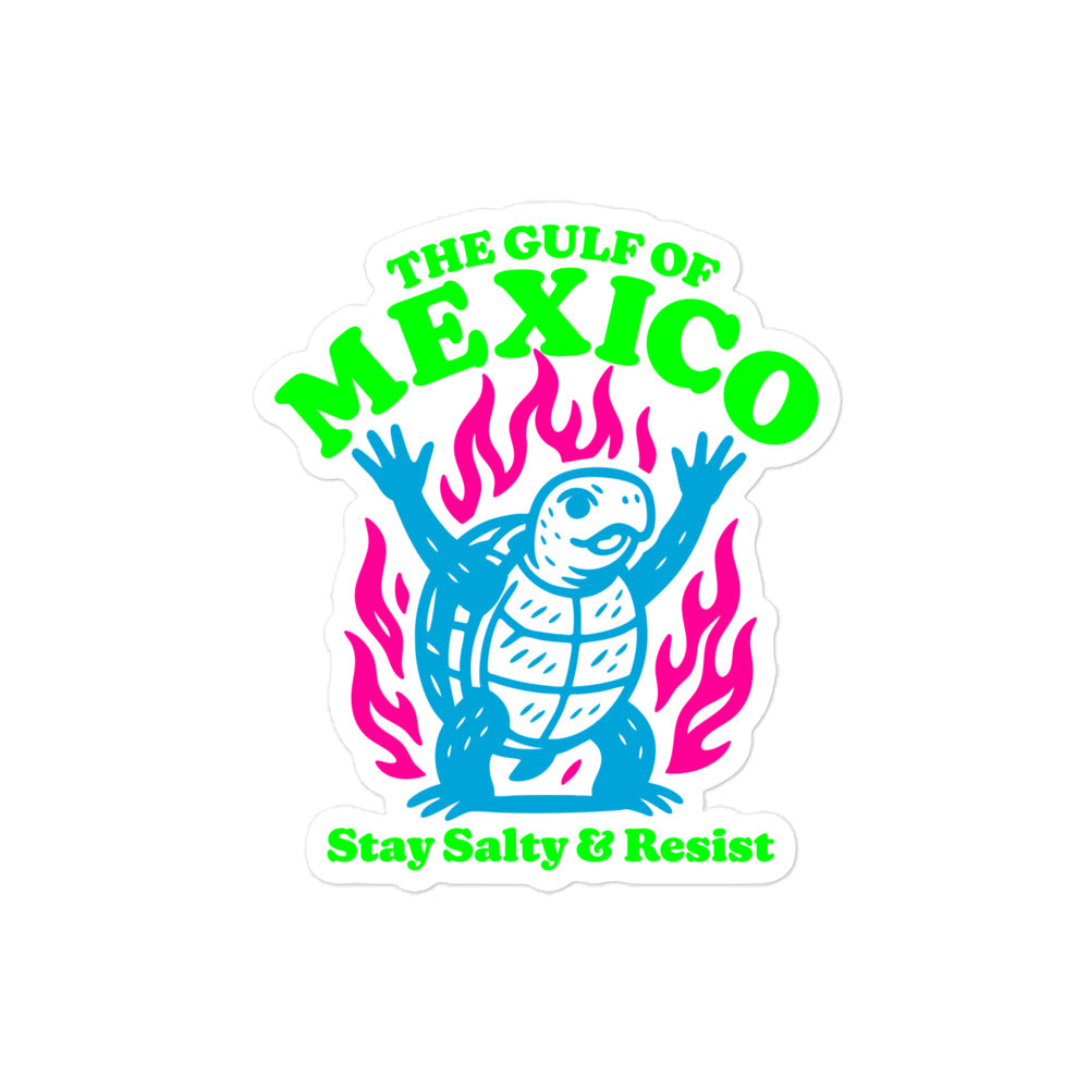 Front View Image: “Front view of 'Stay Salty & Resist' sea turtle decal”