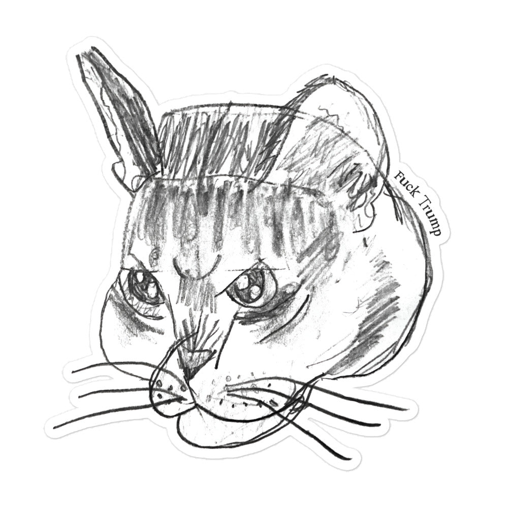 Funny cat illustration on a sticker with a subtle anti-Trump FDT theme.