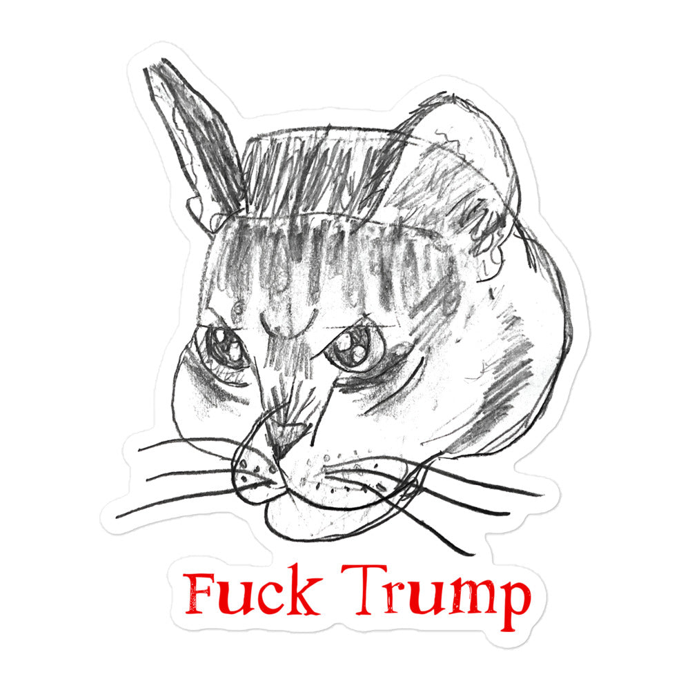 Vinyl sticker featuring a playful cat illustration with the "FDT" message.