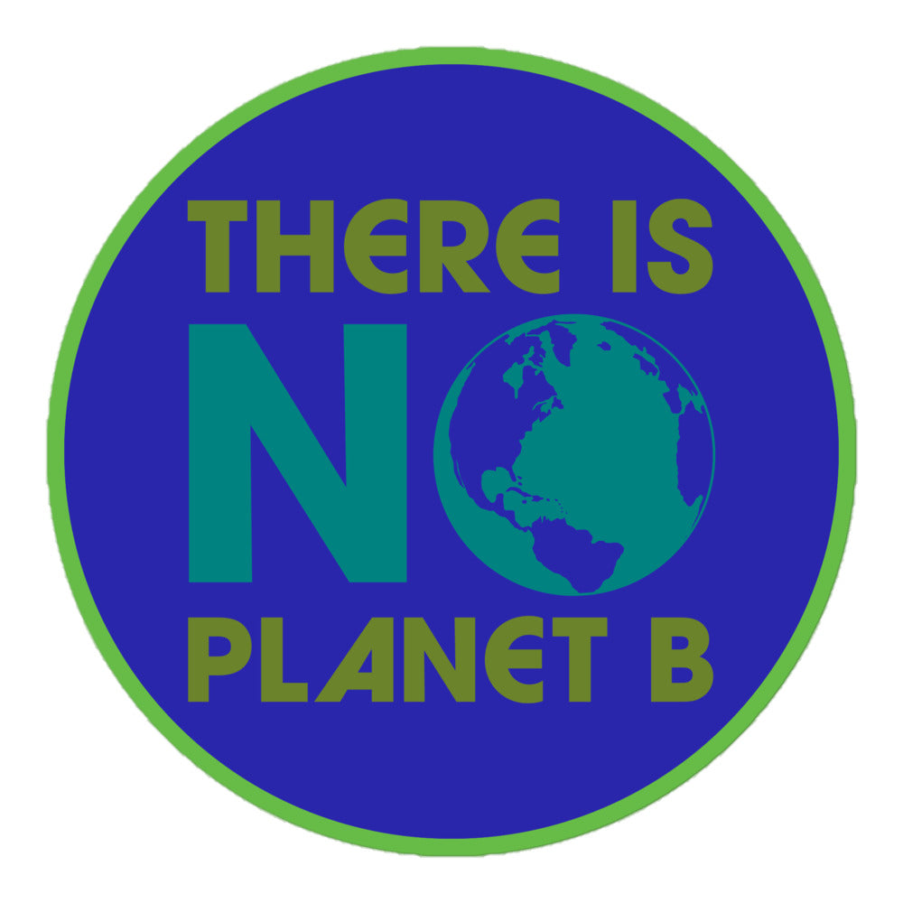 Front View Image: Vinyl sticker with “There Is No Planet B” message, centered front view