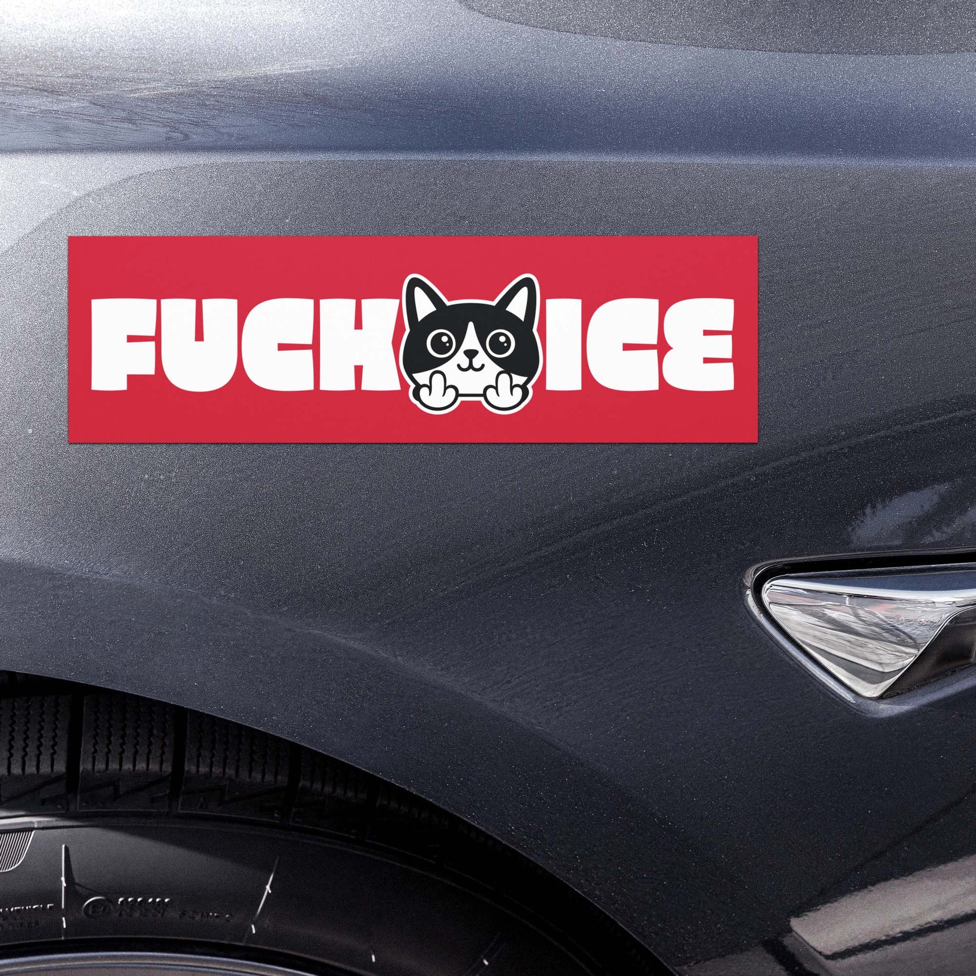 Rectangular car magnet displayed on vehicle door featuring bold graphic cat illustration centered between text, red background with white print, printed message “FUCK ICE.”