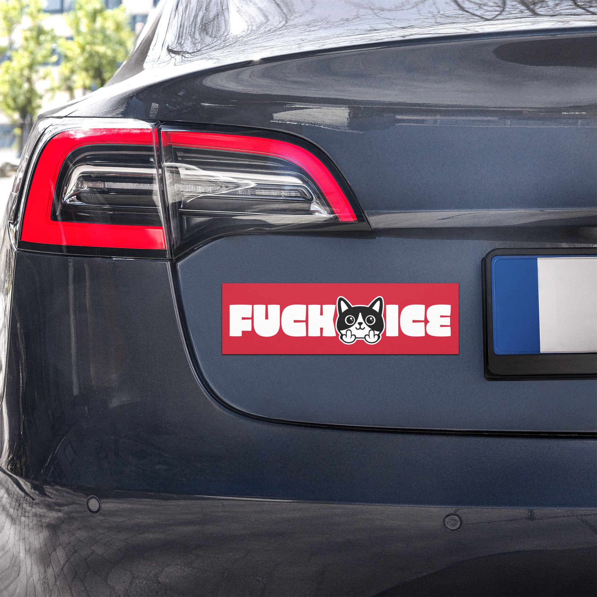 Car bumper magnet mounted on vehicle featuring bold graphic cartoon cat flipping the middle finger, horizontal red design with white lettering, message “FUCK ICE,” activist magnet from Blue Wave USA.