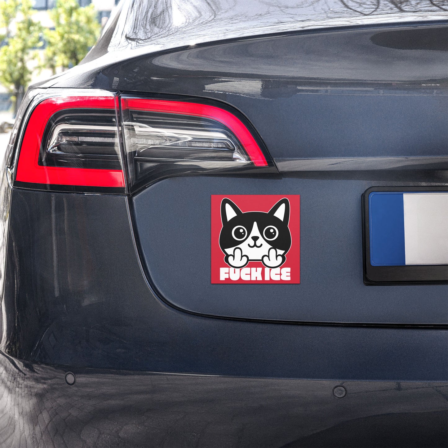 Car magnet displayed on vehicle bumper featuring bold graphic cartoon cat giving the middle finger, red background with white print, message “FUCK ICE,” activist car magnet from Blue Wave USA.