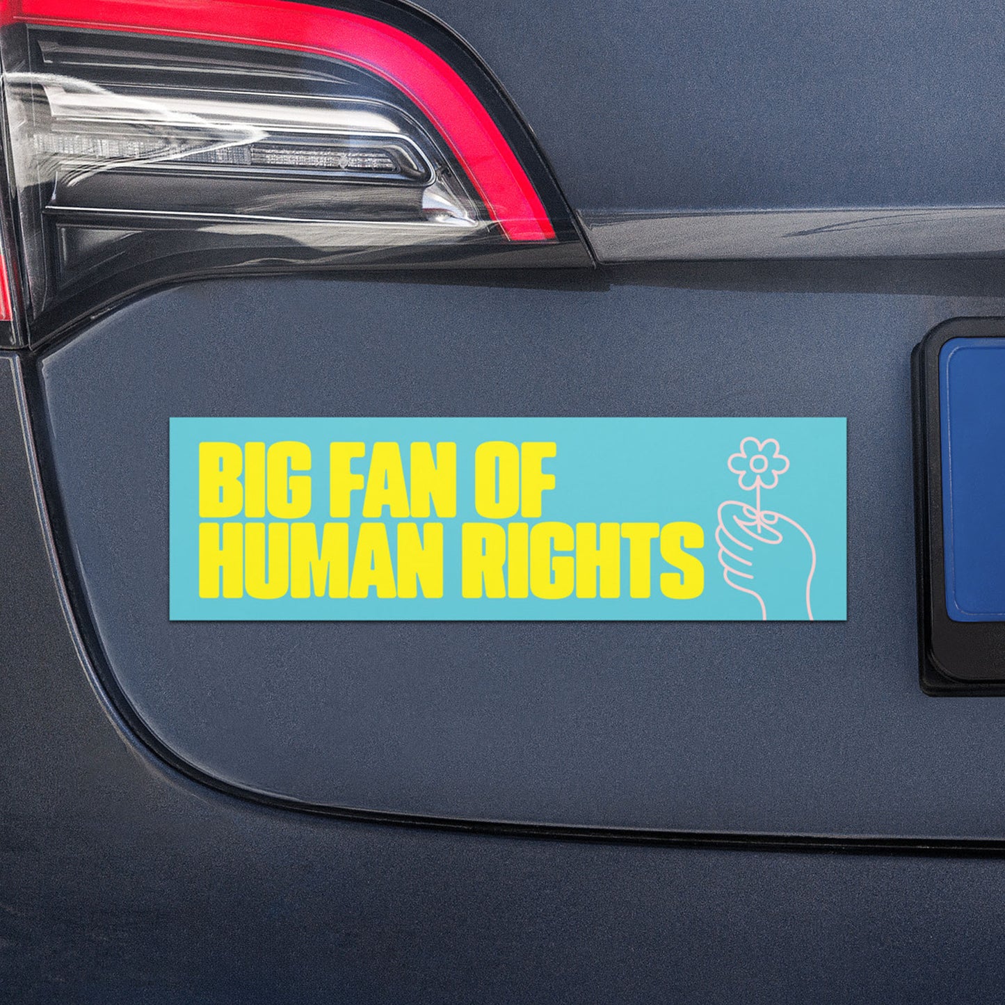 Teal activist car magnet with “BIG FAN OF HUMAN RIGHTS” message and hand holding flower graphic displayed on vehicle trunk.